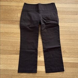 THEORY brown cotton hip hugger side zip crop pants sz 2